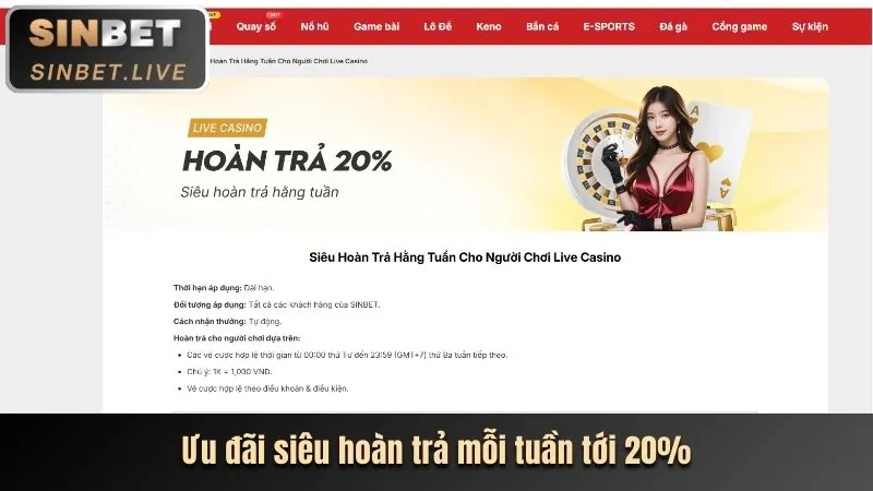 Giao diện người dùng thân thiện của ứng dụng di động FVE88, dễ dàng truy cập và sử dụng